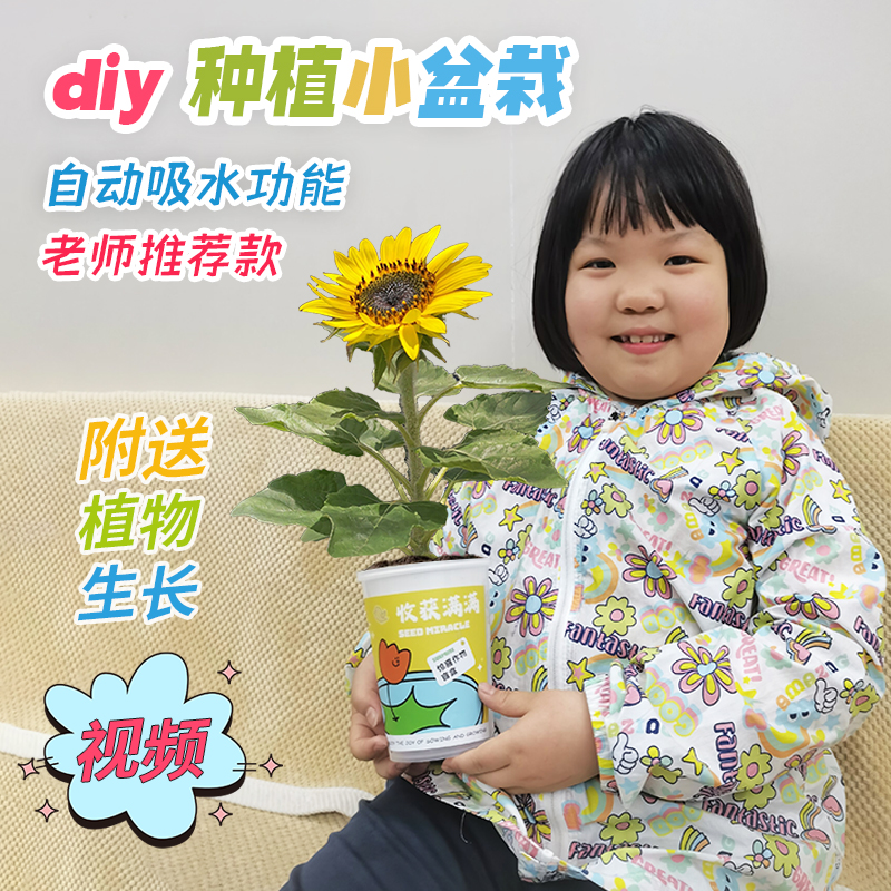 幼儿园小朋友diy手工种植小盆栽