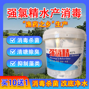 强氯精水产养殖专用消毒杀菌灭藻清塘净水三氯片粉颗粒鱼塘虾蟹池