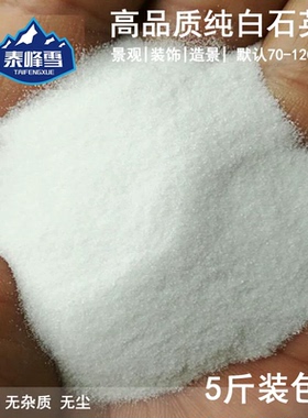 泰峰雪5斤装石英砂细沙纯白石英砂无杂造景过滤鱼缸沙