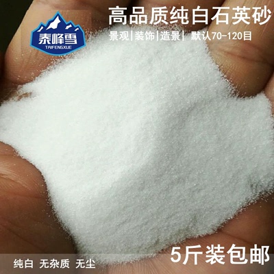 泰峰雪5斤装石英砂细沙纯白石英砂无杂造景过滤鱼缸沙