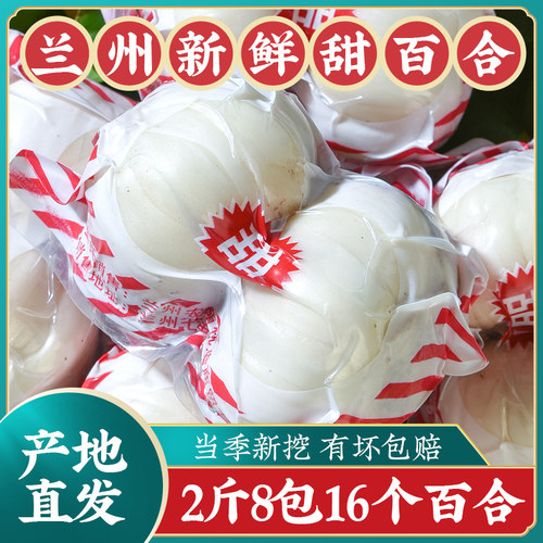 新挖现发甜百合地头价大果1000g