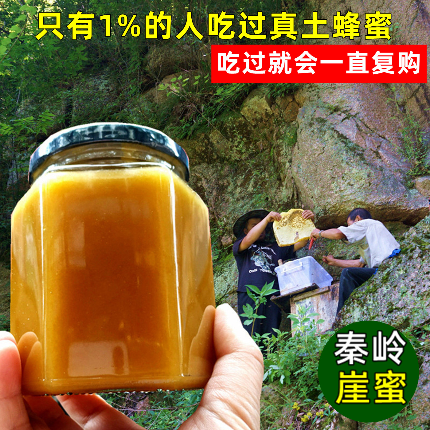深山土蜂蜜纯正天然野生土蜂蜜无添加蜂蜜高海拔土蜂蜜悬崖土蜂蜜