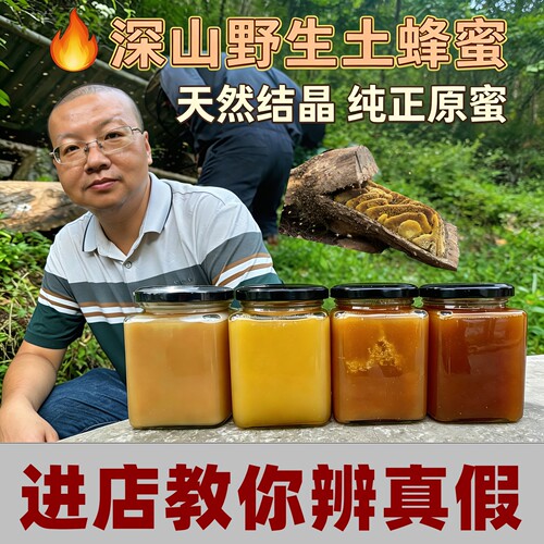 蜂蜜土蜂蜜纯正天然蜂蜜农家土蜂蜜深山蜂蜜秦岭野生无添加土蜂蜜 - 封面