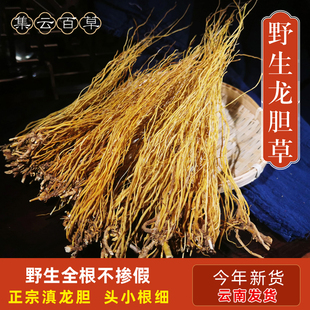 正宗云南野生龙胆草500g中药材正品苦胆草整颗新鲜龙胆 整颗水洗