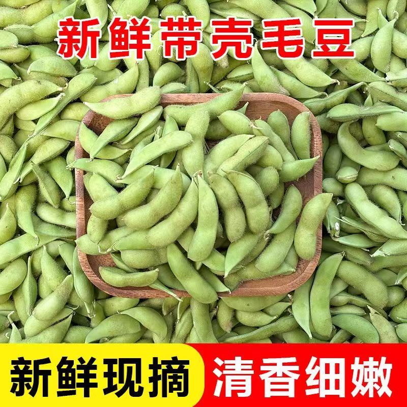 江西安福本地现摘毛豆角新鲜蔬菜嫩毛豆现摘青豆毛豆角土毛豆带壳