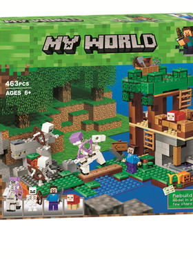 中国积木我的世界21146骷髅攻袭竞技场儿童益智拼装玩具礼物10989