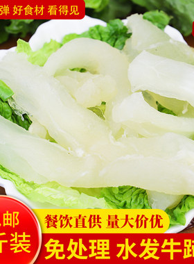 新鲜牛蹄筋重庆火锅配菜牛板筋免处理商用食材水发牛筋牛杂冷冻
