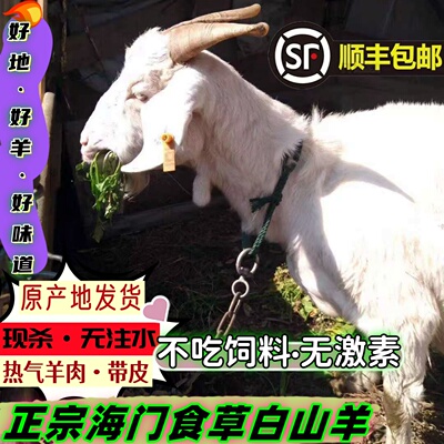 海门特产热气山羊肉羊前后腿羊排带皮带骨生羊肉新鲜现杀顺丰包邮