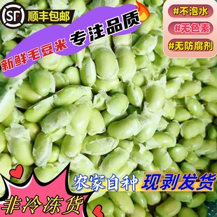 苏北海门新鲜蔬菜现剥毛豆仁农家自种青豆粒菜豆嫩毛豆米顺丰包邮
