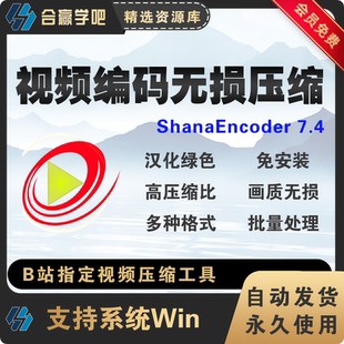 ShanaEncoder高清视频批量无损压缩转码工具格式转换软件Win