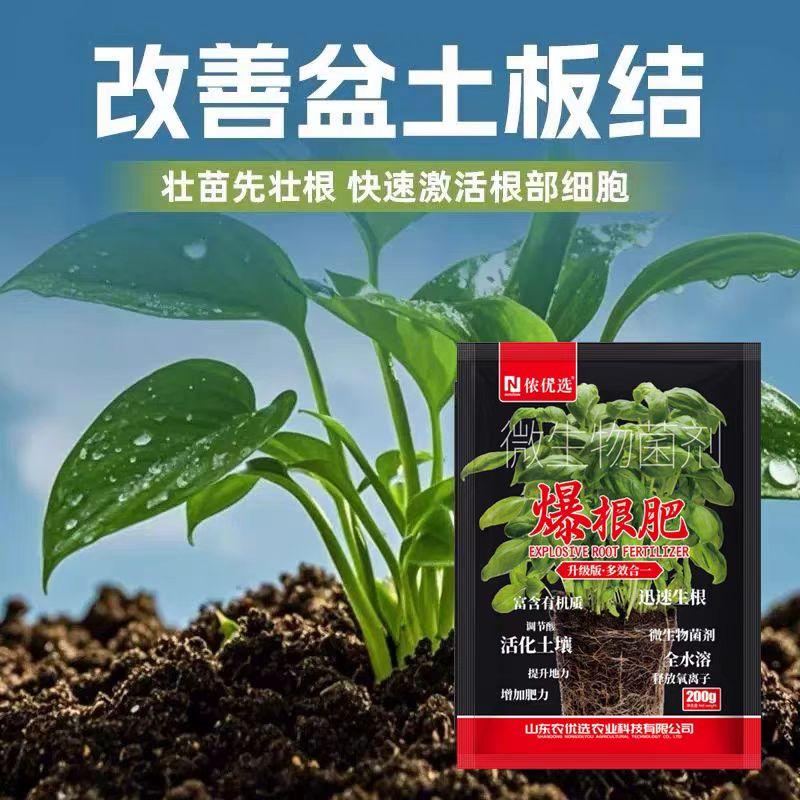 强力生根爆根肥微生物菌剂