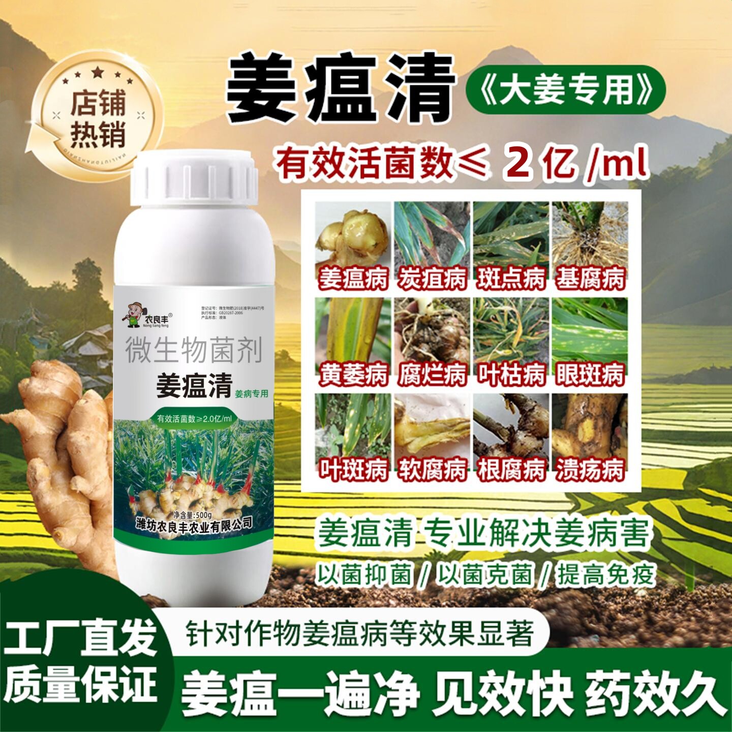 正品姜瘟清姜瘟净姜瘟灵生姜大姜专用除菌剂大姜烂脖子烂根黄叶病