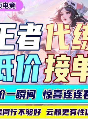 王者荣耀代练排位陪玩代打大小国标省标英雄战力实力上分车队