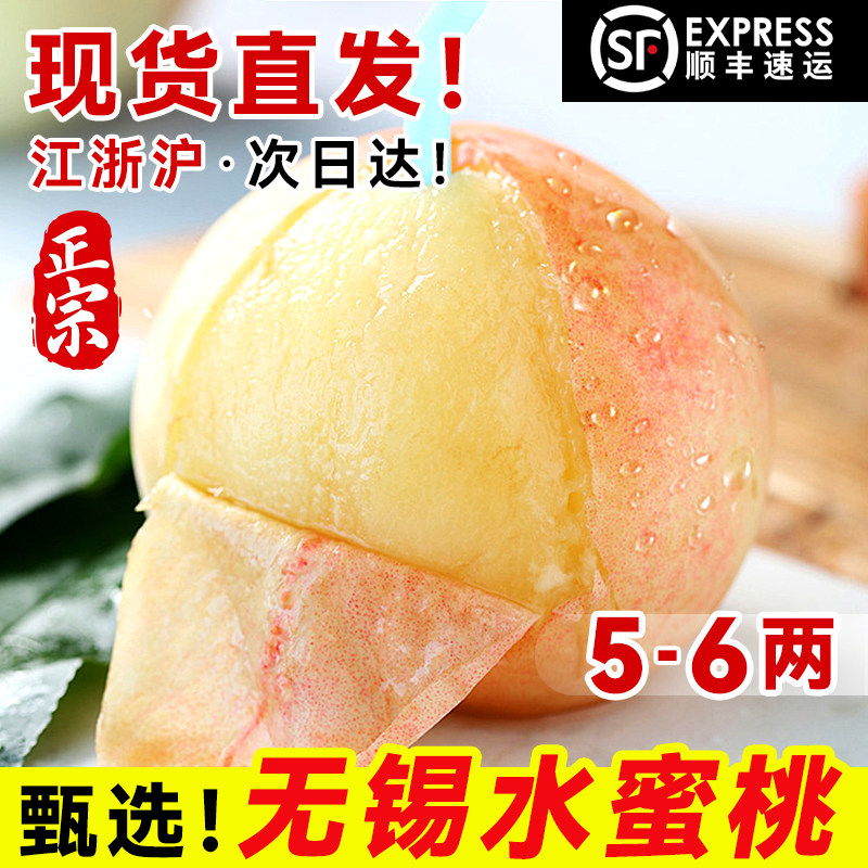 现货【5-6两】正宗无锡水蜜桃子新鲜水果阳当季整箱湖景山礼盒