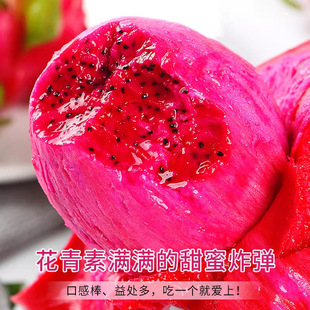 【顺丰送上门】越南红心火龙果新鲜水果当季整箱金都一号红肉甜蜜