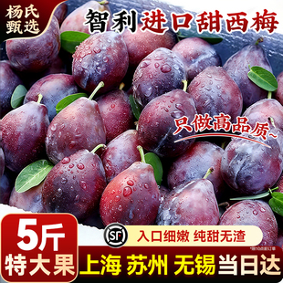 【顺丰送上门】 正宗智利进口西梅新鲜水果特大应季孕妇5斤甜原箱