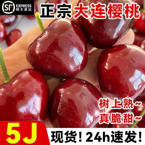 大连美早大樱桃5斤5j礼盒国产车厘子应当季新鲜孕妇水果顺丰包邮