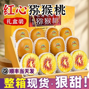 精品礼盒四川红心猕猴桃送礼蒲江奇异果水果新鲜当季高档整箱顺丰