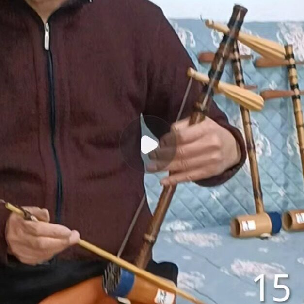 专业演奏高档京胡西皮15号E调湖北小叶黄杨轴全套配件包邮