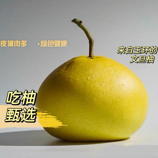 正宗玉环垟根文旦柚子中华第一柚超甜香甜脆爽新鲜水果现摘现发