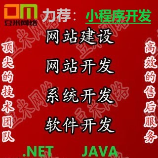 计算机程序设计asp.net系统定制小程序java网站c#软件开发bug修复