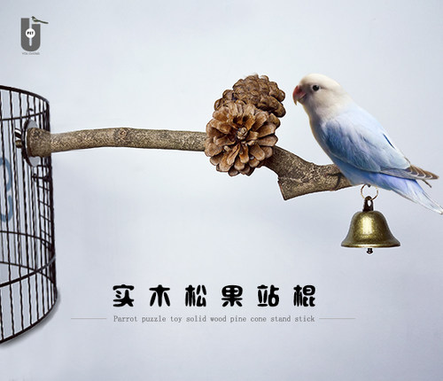 松花果站玄凤鹦鹉虎皮磨爪用具