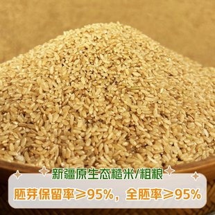 正宗25年新疆阿克苏温宿原生态糙米粗粮胚芽新大米5斤装 糙米