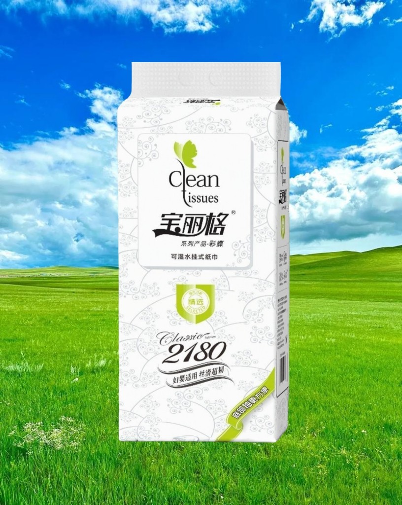 宝丽格壁挂式抽纸卫生纸