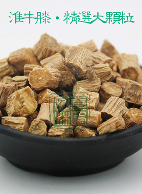 怀牛膝/川牛膝 人工精选选货淮牛膝粗肥无硫清香浓郁500克包邮