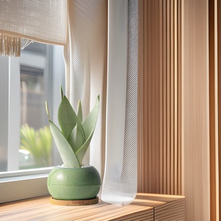 虎皮兰盆景室内绿植盆栽净化空气客厅桌面摆件四季好养懒人植物