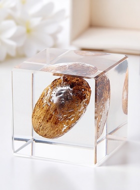 简约现代透明树脂内置物方块摆件