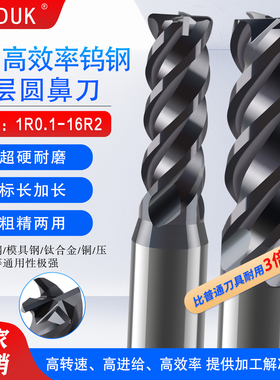 多功能高效率PS钨钢涂层圆鼻刀1R0.1-16R2标长加长不锈钢 钢件用