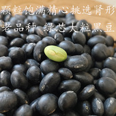 绿芯黑大豆非转基因东北乌皮青仁老品种无抛光可泡醋农家肾形黑豆