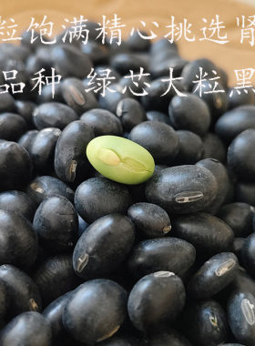 绿芯黑大豆无抛光东北大豆