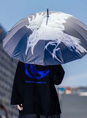 FLOAT十六骨雨伞男女结实晴雨两用大号抗风双人暴雨半自动伞黑色