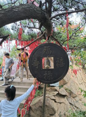 全新定制高品质kan款+/时尚耳环戒指项链手镯手链