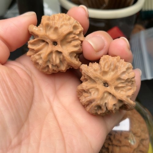 文玩核桃把件金钱低苹果园狮子头40 尺