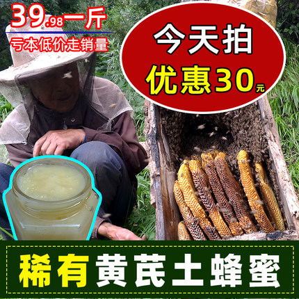 甘肃黄芪党参百花蜜土蜂蜜纯正天然农家自产结晶蜂蜜野生无添加