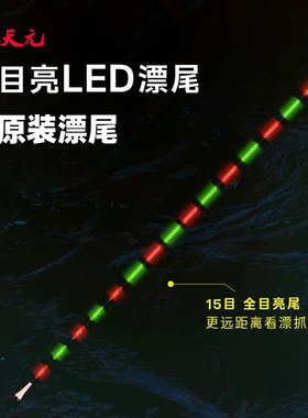正品武汉天元二代夜焰LED鲢鳙漂电子漂 2代原装漂尾