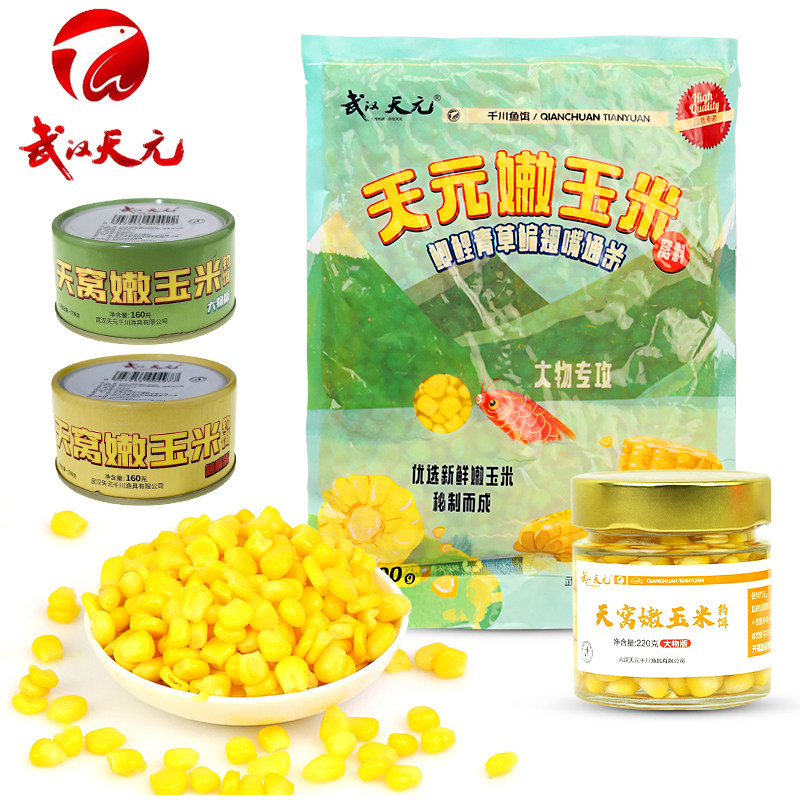武汉天元果酸嫩玉米窝料天窝老玉米粒钓翘嘴鲜玉米钓鱼专用鱼饵料