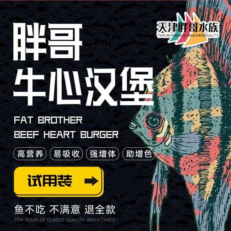 胖哥牛心汉堡七彩神仙罗汉埃及增色螺旋藻手工制作冷冻鱼食饲料