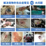 Vết thương, mèo, chó, ngón chân, viêm, bìu, viêm da, bỏng nước, thú cưng - Cat / Dog Medical Supplies