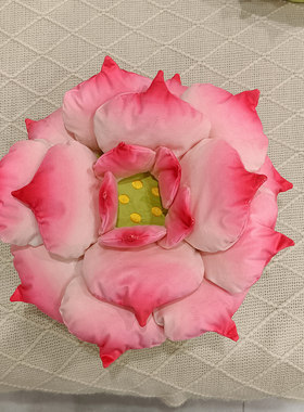 外贸质感荷花莲花多肉抱枕