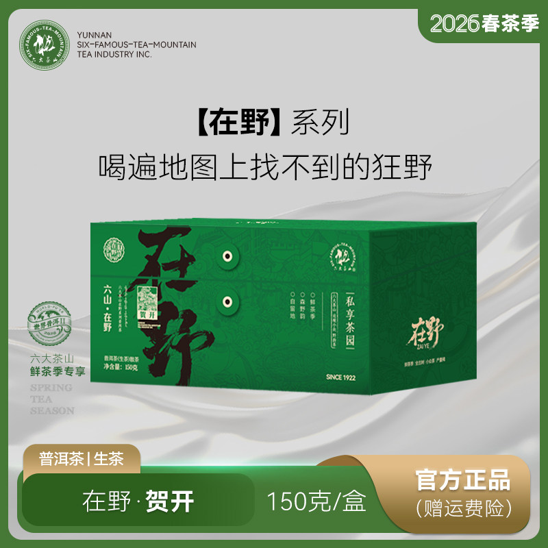 2026春茶在野.贺开古树晒青茶/六大茶山云南普洱生茶头春山头散茶