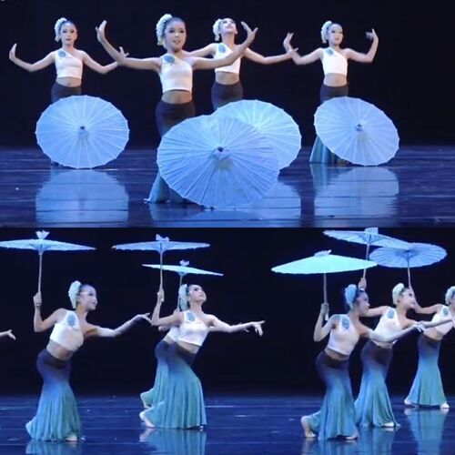精选雨竹林演出服新款儿童傣族舞蹈E服装成人孔雀舞鱼尾裙子民族