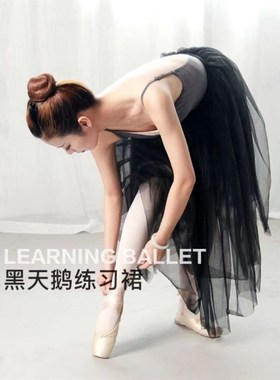 新选芭蕾舞蓬蓬裙演出练功s服白色舞蹈纱裙半身长裙子成人儿童tut