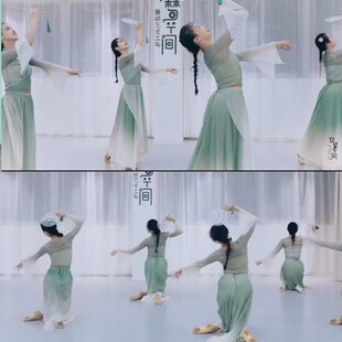 精选古典舞舞蹈服飘逸成人t练功服醉清波演出服中小学生绿色飘逸