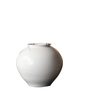 白色插干花水培两用花瓶