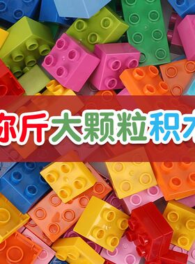 大颗粒论斤称散装积木儿童玩具