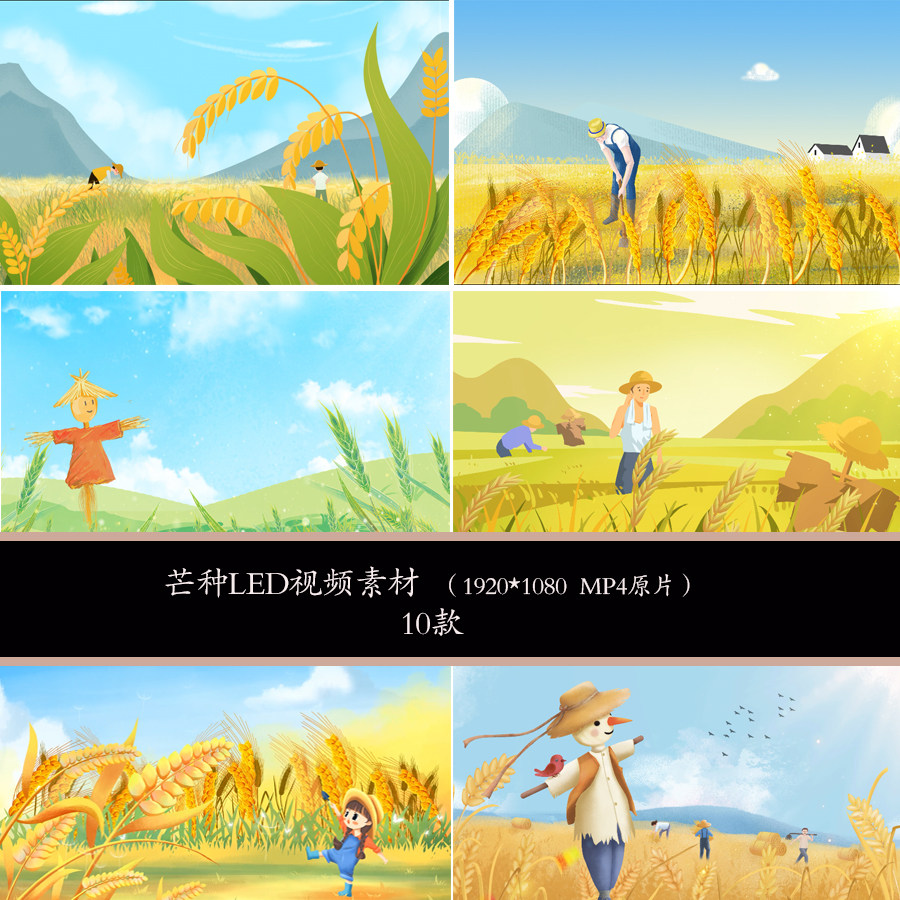 二十四节气芒种插画背景视频素材芒种led背景视频素材芒种素材